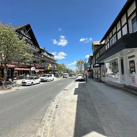 Perle Am Waltenberg, 85 Qm Ferienwohnung, Sauna, Zwei Wohnungen In Einer! Apartment Winterberg