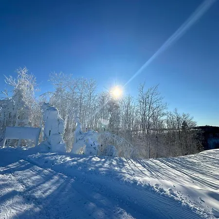 Apartamento Grosszuegige 