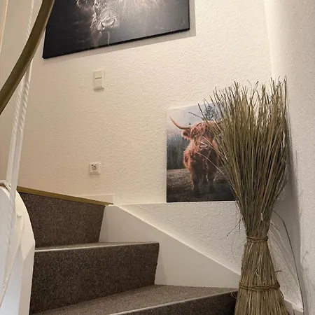 Perle Am Waltenberg, 85 Qm Ferienwohnung, Sauna, Zwei Wohnungen In Einer! Apartment Winterberg
