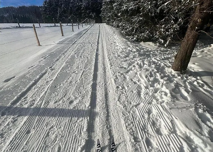 Fruehlingsangebot - Grosse Ferienwohnung In Top-Lage 