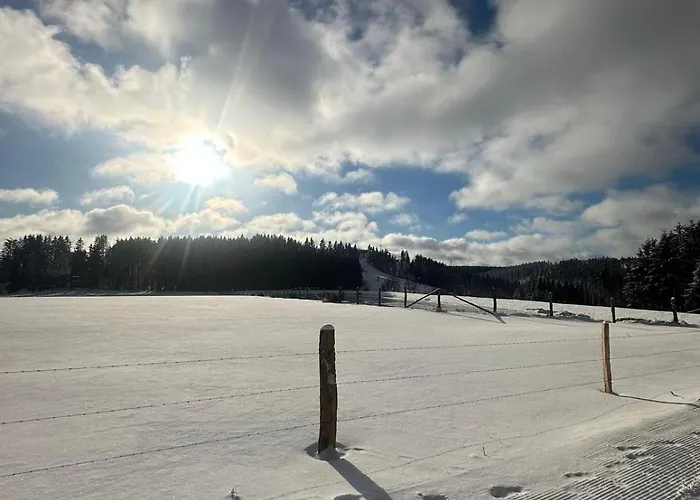 Lägenhet Fruehlingsangebot - Grosse Ferienwohnung In Top-Lage 