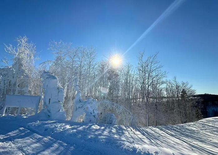 Apartment Fruehlingsangebot - Grosse Ferienwohnung In Top-Lage 