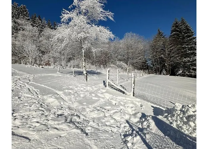 Fruehlingsangebot - Grosse Ferienwohnung In Top-Lage 