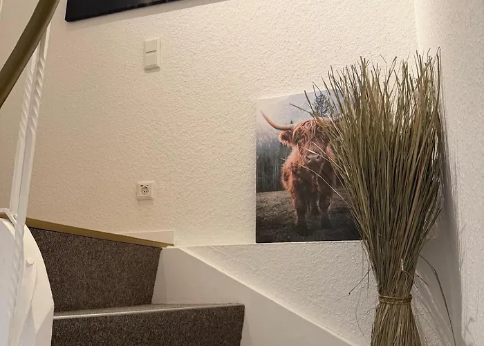 Fruehlingsangebot - Grosse Ferienwohnung In Top-Lage 